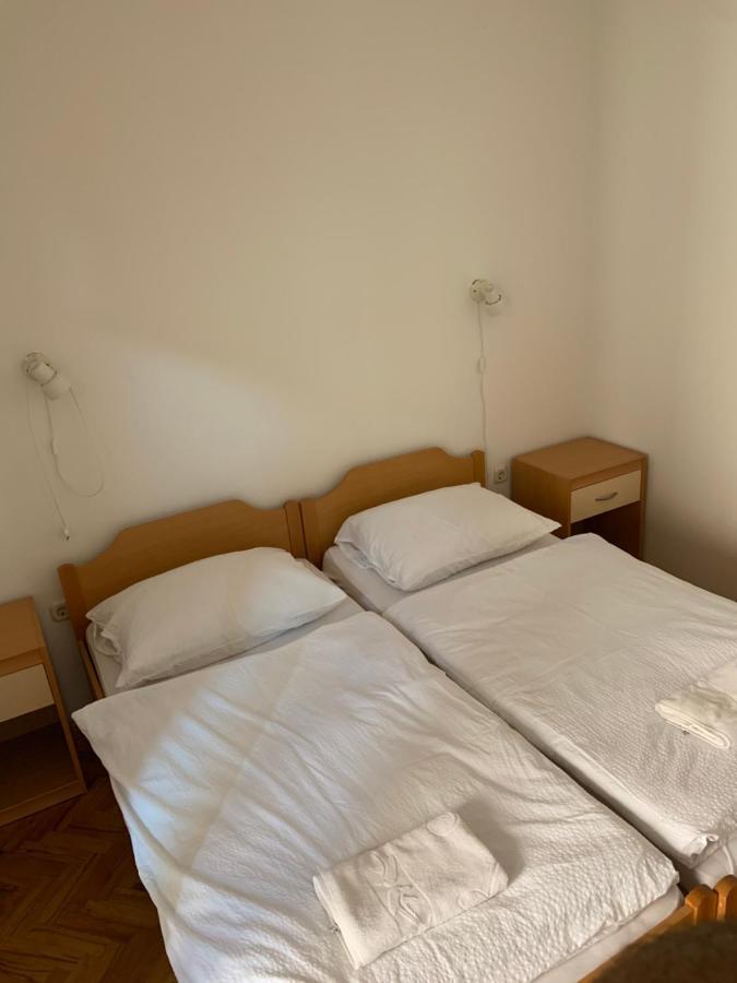 ロヴィニ Vila Albatros Bed & Breakfast エクステリア 写真