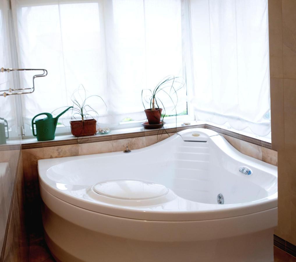 ロヴィニ Vila Albatros Bed & Breakfast エクステリア 写真