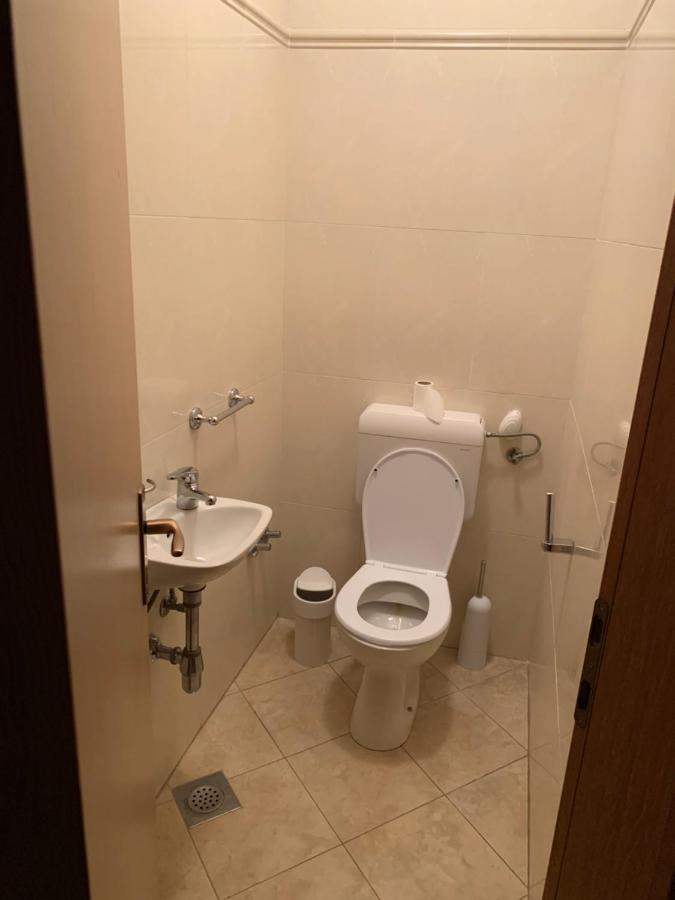 ロヴィニ Vila Albatros Bed & Breakfast エクステリア 写真