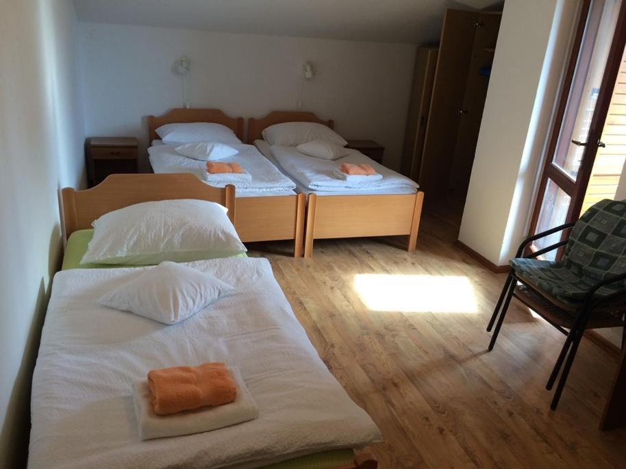ロヴィニ Vila Albatros Bed & Breakfast エクステリア 写真
