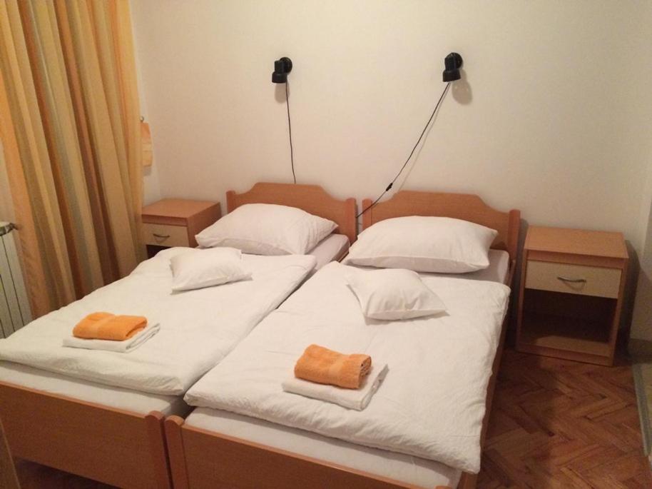 ロヴィニ Vila Albatros Bed & Breakfast エクステリア 写真